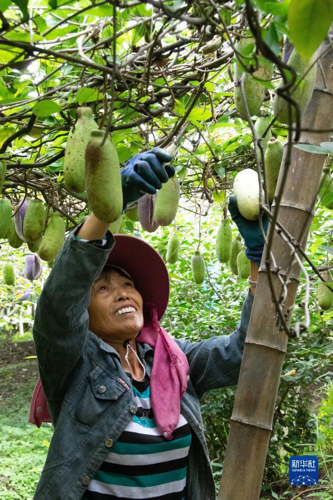 博美登录地址